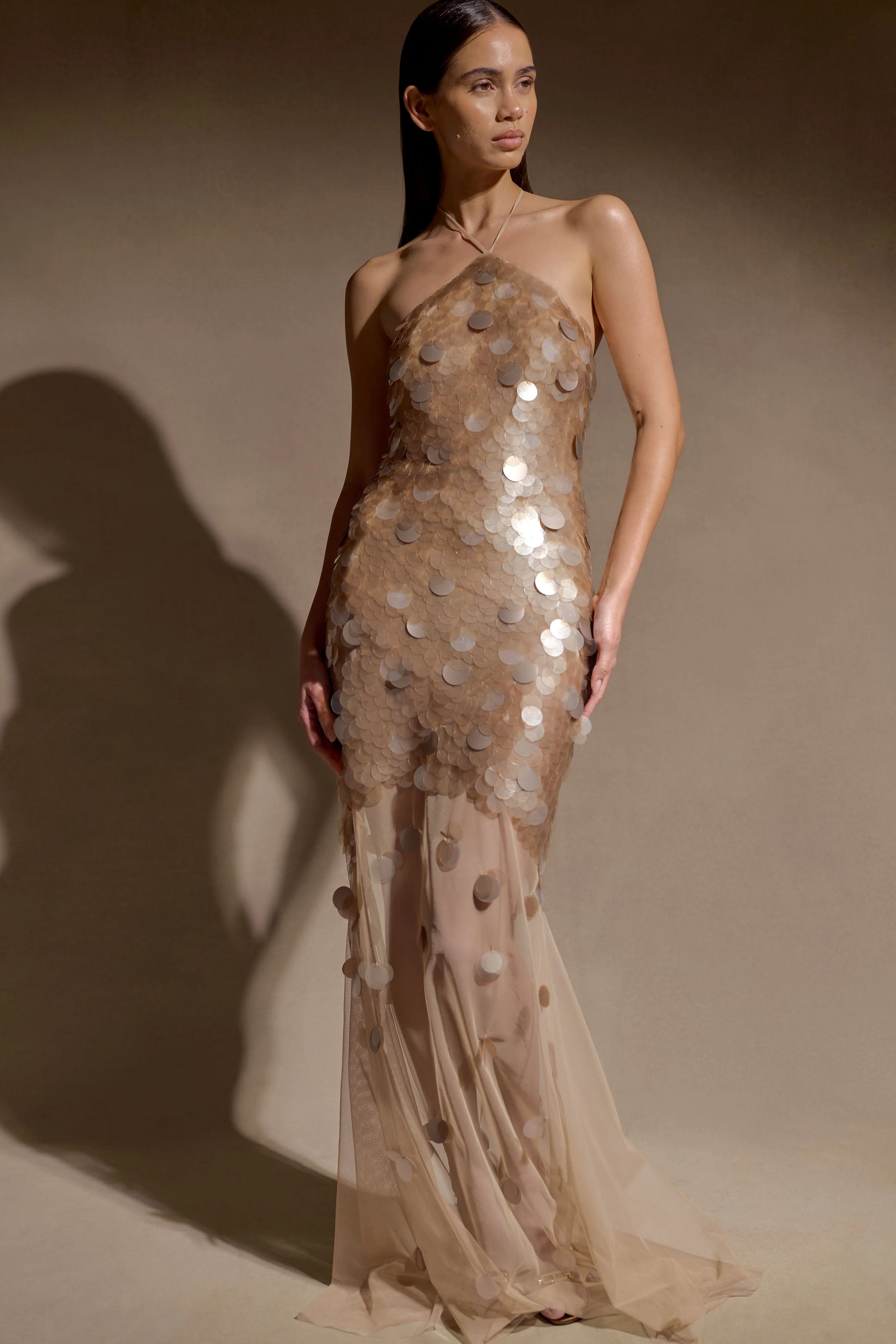 Jenny Hand Embellished Maxi Dress - Gold - Image 4